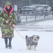 UK Braces for 56-Hour Snow Blitz: 25 English Counties on Alert