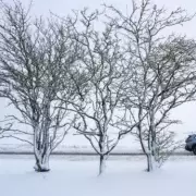 UK Braces for -6°C 'Snow Bomb' as Arctic Blast Hits Before Christmas