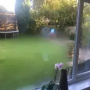 UK Condensation Warning: Faulty Double Glazing Drains Heat Before Christmas