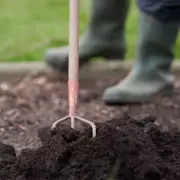 UK Gardeners: Finish Mulching by January End for Healthier Soil