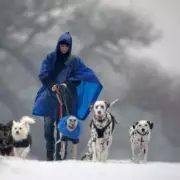 UK Snow Alert: 21 Counties Brace for Widespread Storm and -4C Freeze