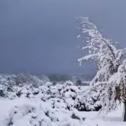 UK Snow Bomb: 3 Inches Forecast, 29 English Counties Spared
