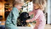 Vet's Festive Warning: Teach Children Dog Body Language This Christmas