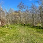 Walsall's £50m New School Plan Confirmed Amid Green Space Row