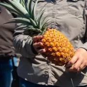 Warwickshire Police's Top 5 Bizarre 999 Calls of 2025 Revealed