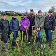 Wave Water Retailer Hits £555m Revenue as Public Sector Drives Growth