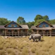 West Midlands Safari Park to Open 8 New Lodges for Giraffes & Rhinos