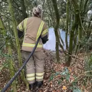 Wildfire Surge: England's 2025 Blazes Hit Record High in Key Regions