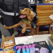 Wolverhampton Raids Uncover £51k in Illegal Tobacco and Counterfeit Goods