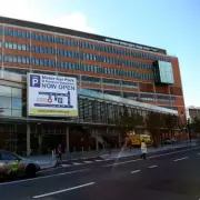 Woman in 50s Airlifted After Severe Dog Attack by Restricted Breed in Carlow