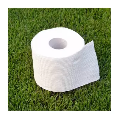 3 Genius Ways to Reuse Toilet Roll Tubes in Your Garden This January