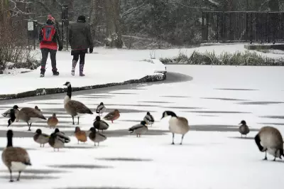 5 Top Winter Walks in the West Midlands for a January Adventure