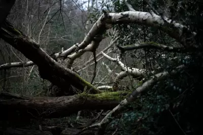 9 Dream World West Midlands Locations Inspired by Colbert & Plant