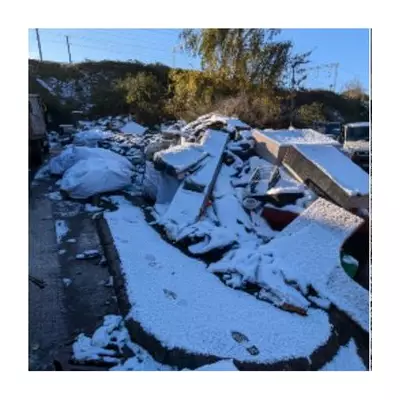 Abandoned Puppy Rescued from Snowy Rubbish Tip in Smethwick