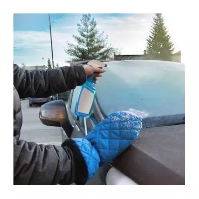 Antifreeze Alert: Winter Driving Products Pose Deadly Risk to UK Dogs