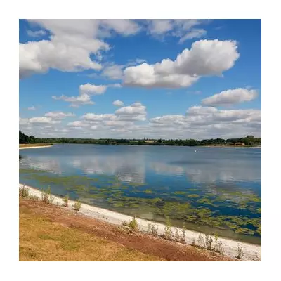 Best Family Walks Near Birmingham: Brummie Mummies' Top Picks