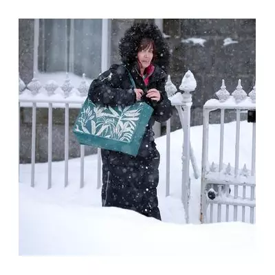 Birmingham Braces for More Snow as Met Office Warns of 'Multi-Hazard Event'