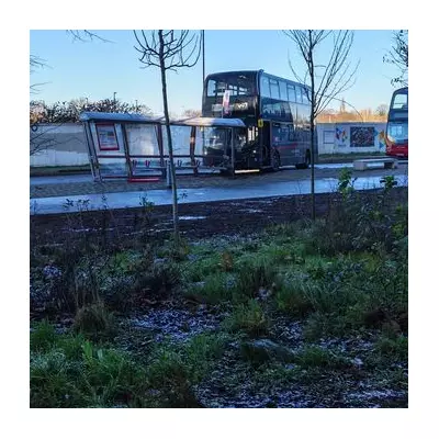 Birmingham bus crash: 997 service hits stop as icy roads cause chaos