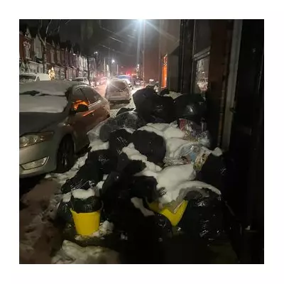 Birmingham nurse's distress over fly-tipping 'filth' and dead animal near home