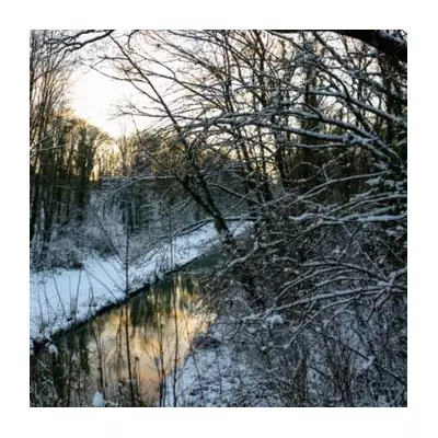 Birmingham Snow Timeline: 11 Inches to Hit from 5pm Thursday