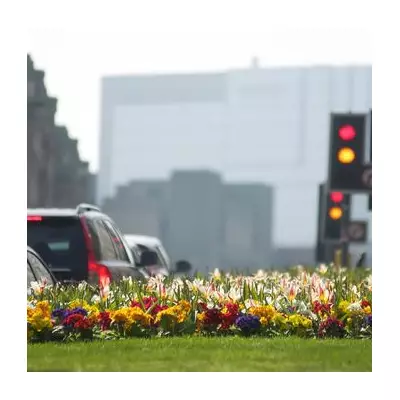 Birmingham's New Traffic Cameras Target Banned Turns in Safety Crackdown