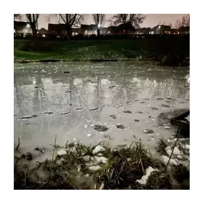 Body of Missing Woman Eileen Recovered from Frozen Sheffield Pond