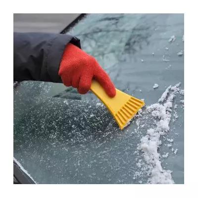 Boiling Water on Windscreens: 1 in 5 Drivers Risk Costly Crack