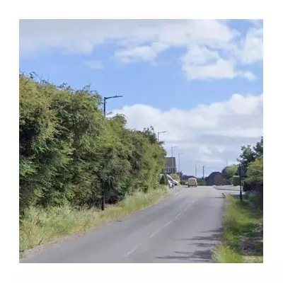 Dead Horse Dumped in Walsall with Rope Around Neck Sparks RSPCA Probe