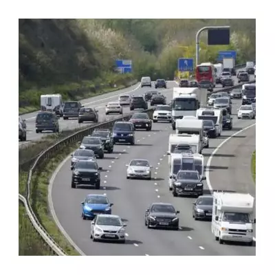 France's Pink Licence Plates: New Law Targets Motor Crime from 2026