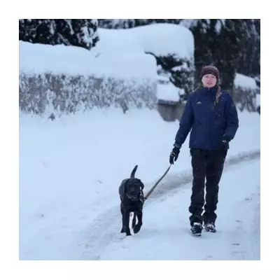 Met Office Urges Birmingham to Stockpile 7 Essential Items Amid Snow Warning