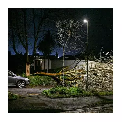 Met Office warns of 85mph gusts and 'danger to life' across UK