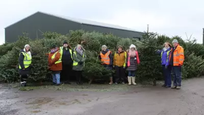 Mid Essex Recycles 3,754 Christmas Trees, Raising £74.3k for Farleigh Hospice
