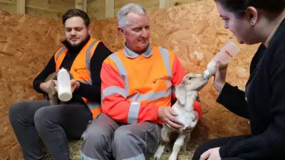 Newborn Goats Rescued from Ashford Bin: Veolia and Biffa's Fight for Life
