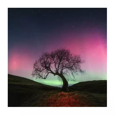 Northern Lights Forecast: UK Braces for Spectacular Aurora Display This Week