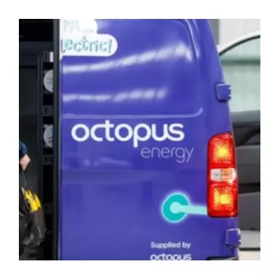 Octopus Energy Heat Pump Users Save £360 on Bills Amid UK Snow