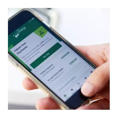 OVO Energy Predicts Record 2026 for UK Home Solar with New Franchise Model