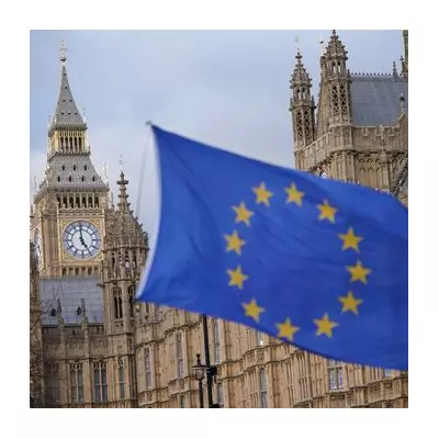 Poll: 58% of UK Voters Would Back Rejoining EU in New Brexit Vote