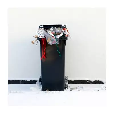 Solihull Festive Bin Collection Changes: Key Dates for Christmas 2025