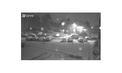 Storm Goretti: Fallen Tree Halts West Midlands Metro, Bus Services Suspended