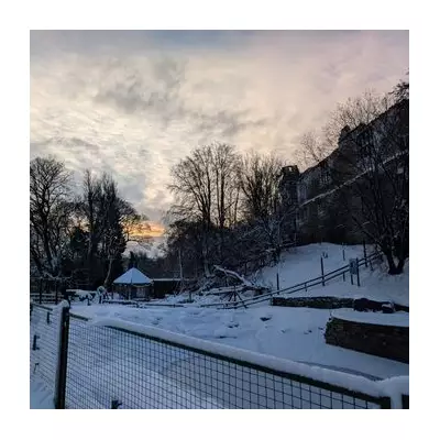 Storm Goretti Forces Two West Midlands Zoos to Extend Weekend Closures