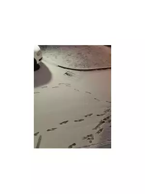 Stunning Reader Photos Capture Snow-Hit Birmingham & West Midlands