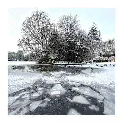 Teenager rescued after falling through ice at Stoke park lake