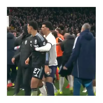 Tottenham vs Aston Villa: Full-Time Brawl Erupts After FA Cup Clash
