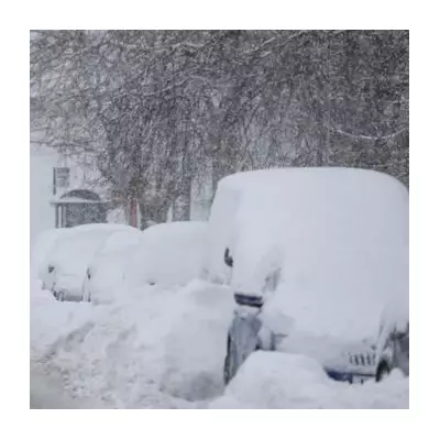 UK Snow Bomb Alert: 704-Mile Blast to Hit 71 Counties Next Week