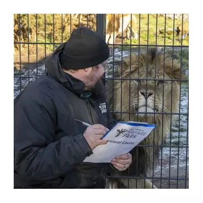 West Midlands Safari Park's Annual Animal Count: Over 1,000 Creatures Tallied