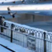 24 English Counties to Avoid Snow Bomb from Tuesday - Full List