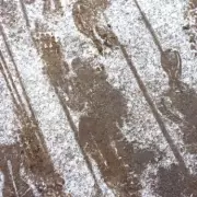 29 English Counties Brace for Snow on Friday as Storm Goretti Hits