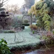 5 Essential January Garden Jobs to Ensure a Vibrant Spring Bloom