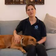 5 Expert Tips to Teach New Tricks to Your Older Dog