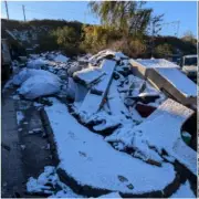 Abandoned Puppy Rescued from Snowy Rubbish Tip in Smethwick